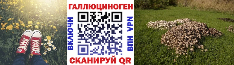 Галлюциногенные грибы MAGIC MUSHROOMS  Купить закладки  Тбилисская 